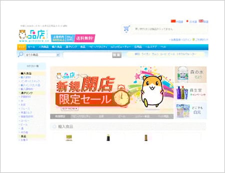 これまでの実績